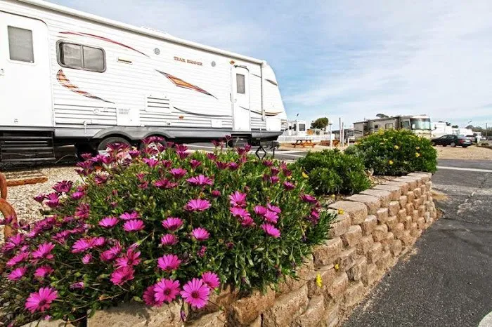 Le Sage Riviera RV Park Picture 5