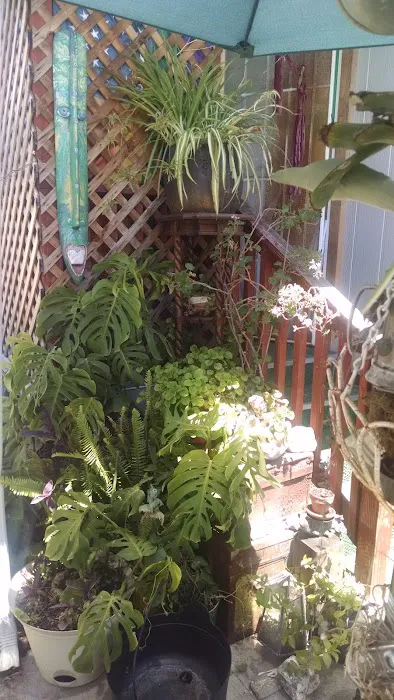 Pacifico Del Amo Mobile Park Picture 9