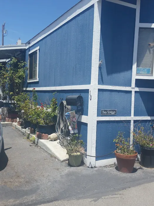 Pacifico Del Amo Mobile Park Picture 2