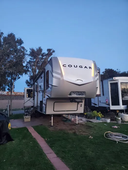 Coastal Dunes RV Park Picture 4