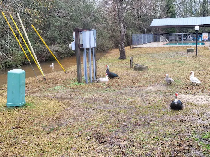 Country Side RV Park & Tradin Picture 4