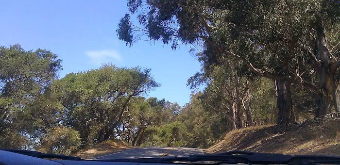 Calif. Grandmothers Club Park Picture 3