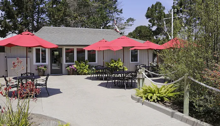 Pismo Sands RV Resort Picture 7