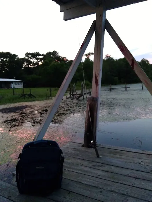 Lake-A-Way Camp Grounds Picture 2