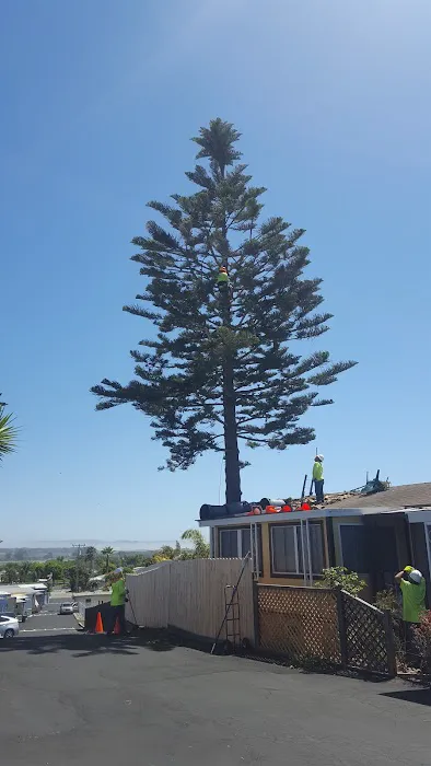 Casa Del Rey Mobile Park Picture 2