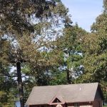 Paul B. Johnson Camping