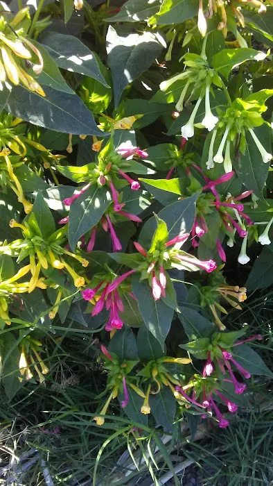 Ken-Mar Gardens Mobile Home Park Picture 6