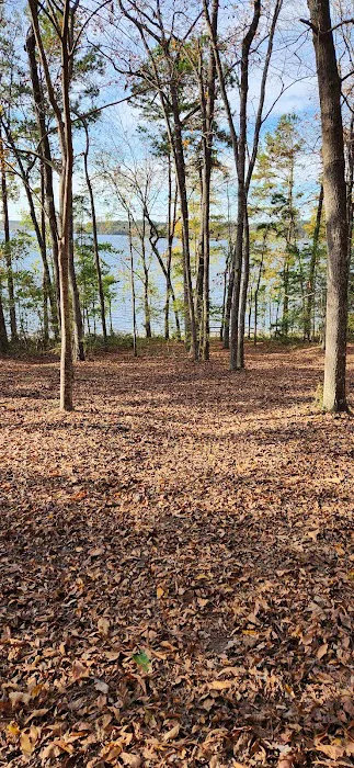 Black Creek RV Park Picture 4