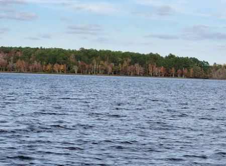 Black Creek RV Park
