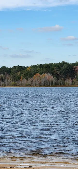 Black Creek RV Park Picture 2