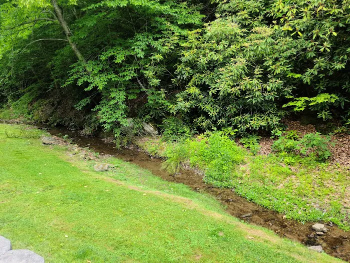 Fries New River RV Park Picture 10