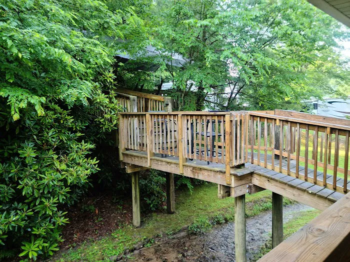 Fries New River RV Park Picture 5