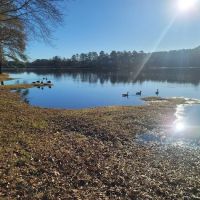 Little Black Creek Campground and Park ico