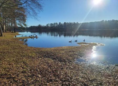 Little Black Creek Campground and Park