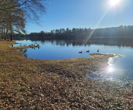 Little Black Creek Campground and Park
