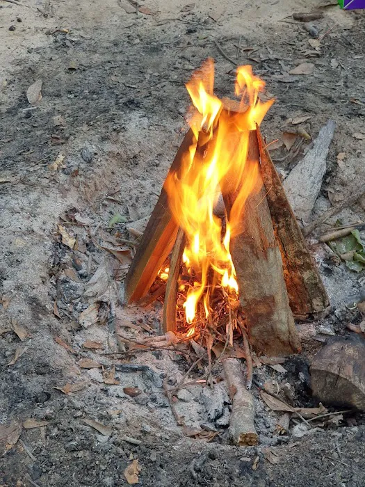 Little Black Creek Campground and Park Picture 10