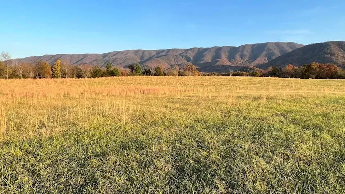 Presidential View RV Ranch Picture 2