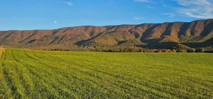Presidential View RV Ranch Picture 1