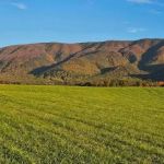 Presidential View RV Ranch