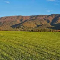 Presidential View RV Ranch ico