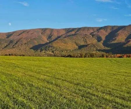 Presidential View RV Ranch