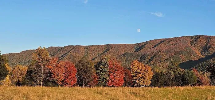Presidential View RV Ranch Picture 5