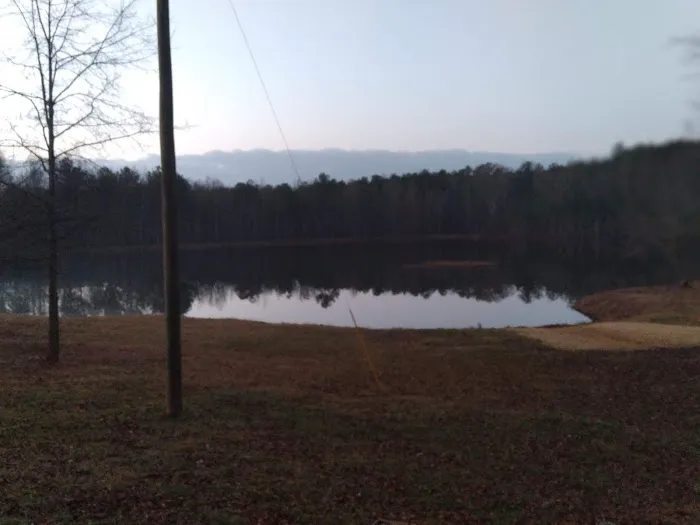 Wimp's RV Park on the Lake Picture 4