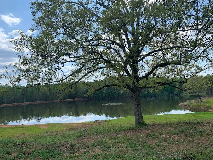 Wimp's RV Park on the Lake Picture 2