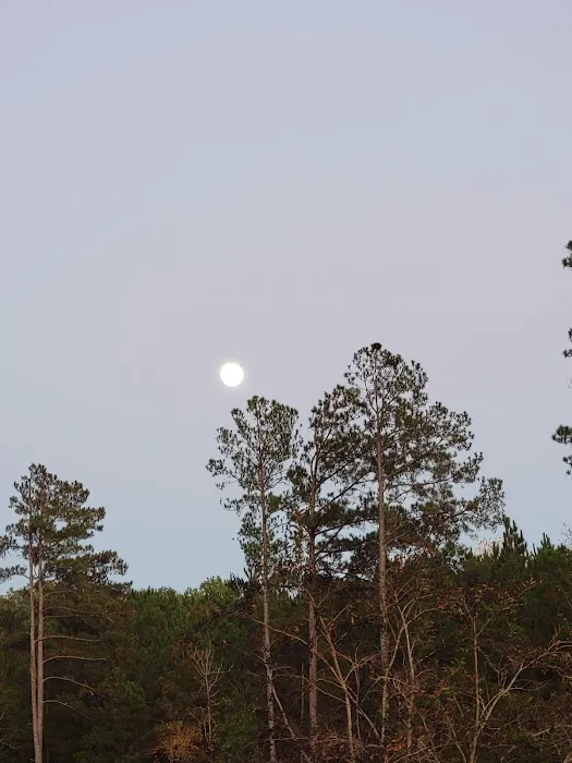 Liberty Springs RV Park Picture 1