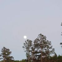 Liberty Springs RV Park ico