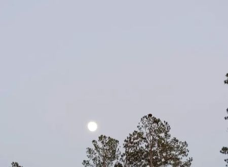 Liberty Springs RV Park