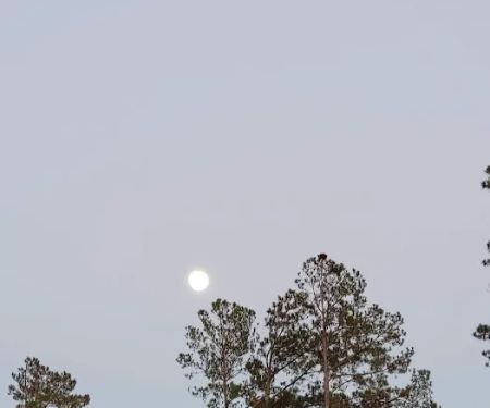 Liberty Springs RV Park