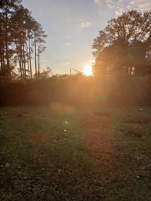 Alpine Regency Mobile Home Park Picture 2
