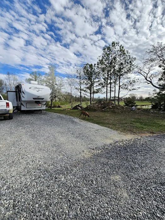 Jones Farm RV Park Picture 3