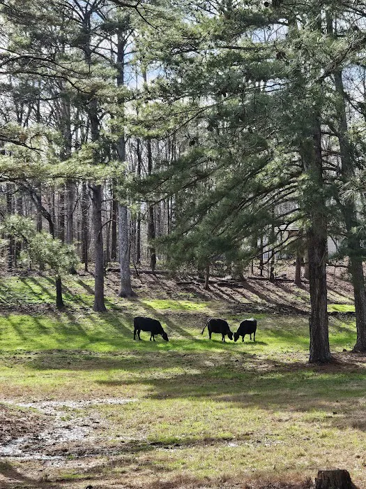 Jones Farm RV Park Picture 6