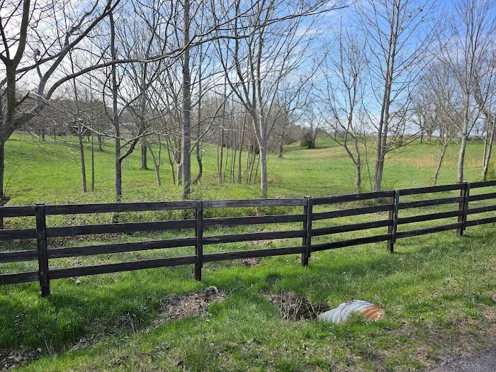 Jones Farm RV Park Picture 4