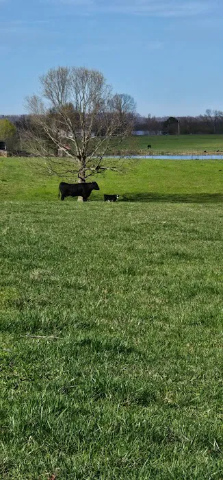 Jones Farm RV Park Picture 1