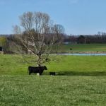 Jones Farm RV Park
