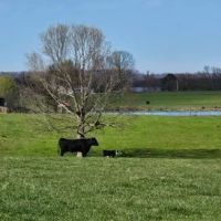 Jones Farm RV Park ico