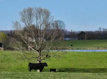 Jones Farm RV Park