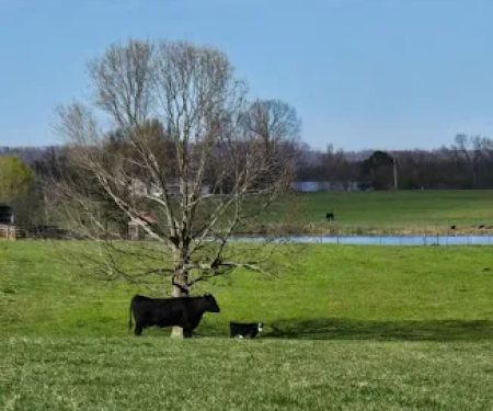 Jones Farm RV Park