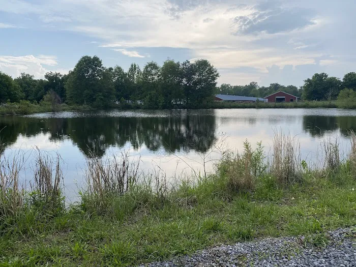 Turtle Pond RV Picture 9