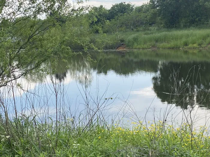 Turtle Pond RV Picture 5