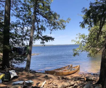 BWCA Campsite #401
