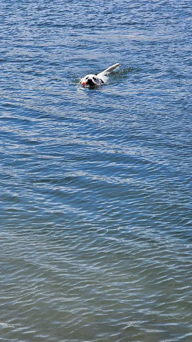 Pottawatomie Lake camping Picture 5