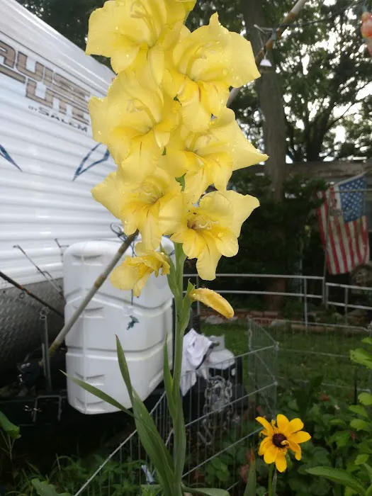 Village Hills RV & Mobile Home Community Picture 3