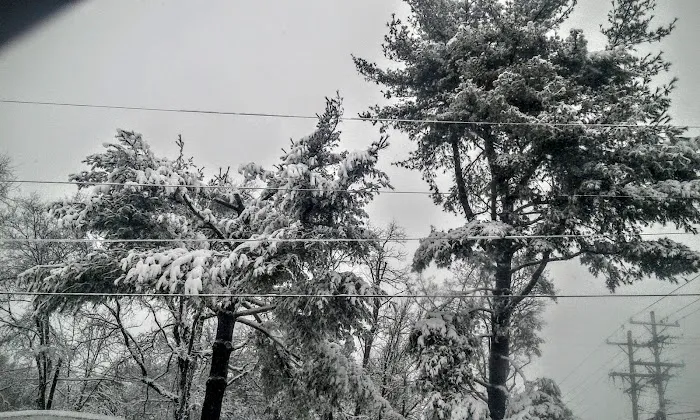 Ranchwood Mobile Home Park Picture 4