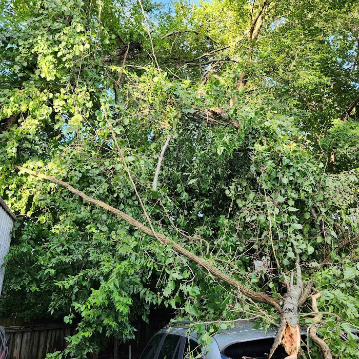 Cedar Park Pointe Mobile Home Park Picture 8