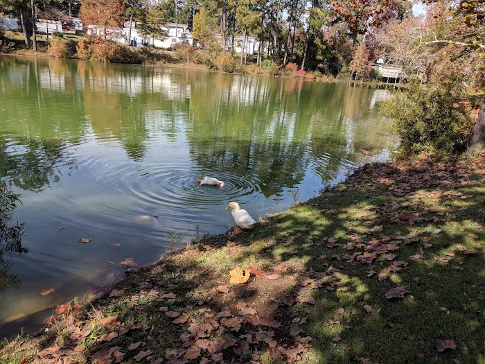 Lakeshore Mobile Home Park Picture 2