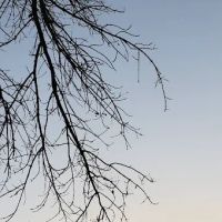 Turkey Point Park Campground ico